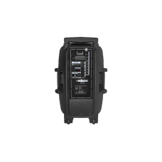Акустична переносна колонка ZXX-1503 60 Вт 15