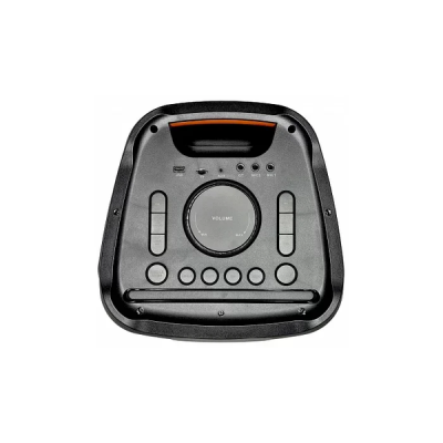 Акустична переносна колонка ZXX-5508 100 Вт 8