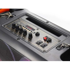 Акустична переносна колонка ZXX-7979 30 Вт 6,5