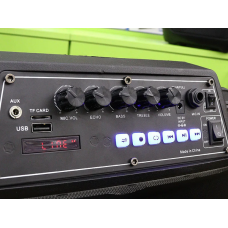 Акустична переносна колонка ZXX-8887 50 Вт 12
