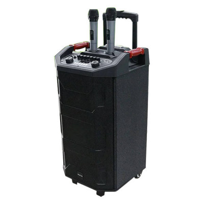 Акустична переносна колонка ZXX-7788 160 Вт 12