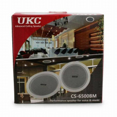 Стельовий динамік (колонки) CS 6500