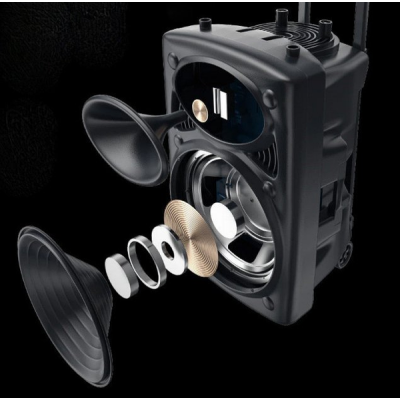 Колонка Su-Kam BT 150D + 2 мікрофони 12v\220v