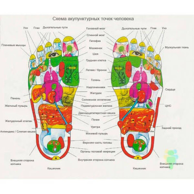Тапочки китайські масажні core massage slippers