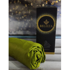 Простирадло на гумці з наволочкою Belizza Yesil 100х200см Сатин