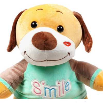 Іграшка-плед Собачка Smile 3в1 36см (плед 100*150см) Бірюзова