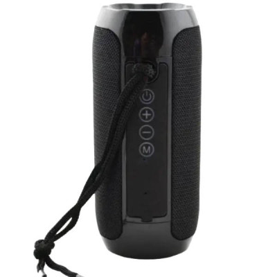 Колонка бездротова Portable BT Speaker TG-117 Чорна