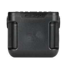 Bluetooth C колонка S гучномовець з радіо та 2 мікрофони TG545DK-Graffititi