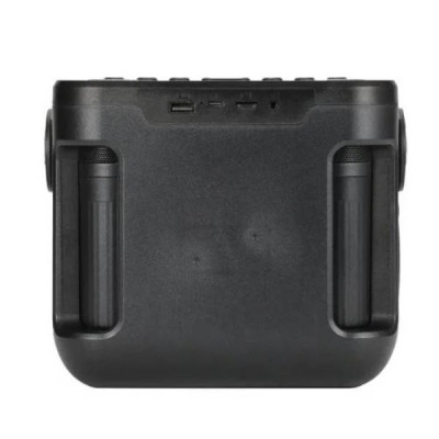 Bluetooth C колонка S гучномовець з радіо та 2 мікрофони TG545DK-Graffititi