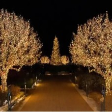 Гірлянда лінійна вулична 50м 800Led 220V 800lwarmwhite Тепле світло, зелений провід
