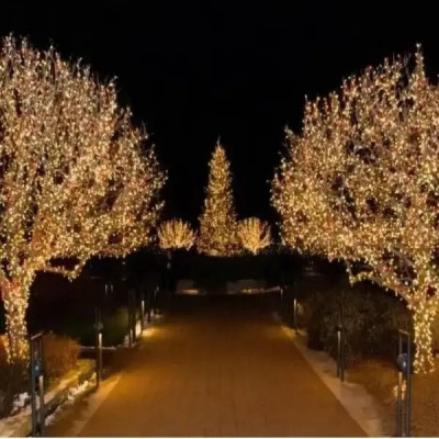 Гірлянда лінійна вулична 50м 800Led 220V 800lwarmwhite Тепле світло, зелений провід