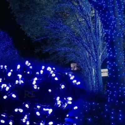 Гірлянда лінійна вулична 50м 800Led 220V 800lblue Синє світло, зелений провід