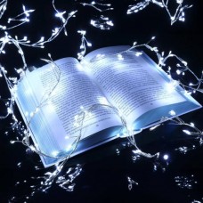 Гірлянда роса лінійна Мішура пухнаста з пультом 10м 300LED 220V 4496 AND 20-3 Біле світло