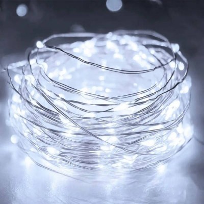 Гірлянда роса лінійна з пультом 100м 1000LED 220V 4504 AND 28-5 Мідний провід, біле світло