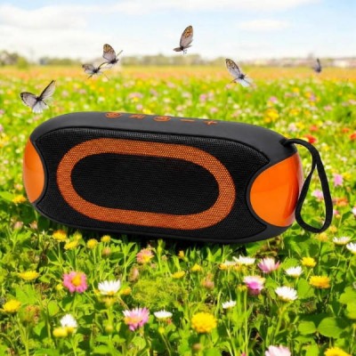 Колонка акумуляторна портативна Bluetooth TS-5582 G-800 Чорна з помаранчевим