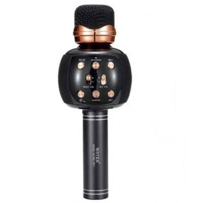 Мікрофон караоке DM Karaoke WS 2911 Чорний
