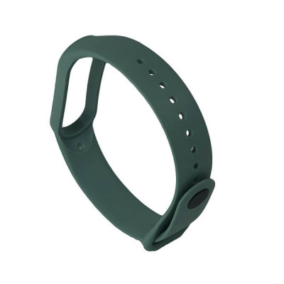 Ремінець силіконовий для Xiaomi Mi Band 5 №16 світло-зелений