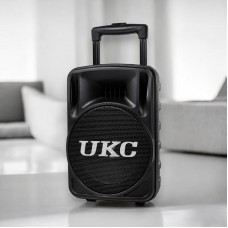 Колонка портативна UKC BT 100D + 1 мікрофон 12v\220v Чорна