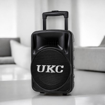 Колонка портативна UKC BT 100D + 1 мікрофон 12v\220v Чорна